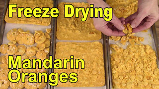 Freeze Drying Mandarin Oranges