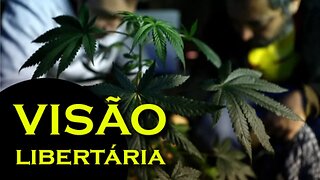 Hacker aqui | Visão Libertária - 13/06/19 | ANCAPSU