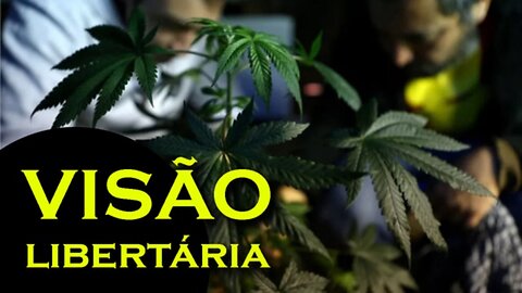 Hacker aqui | Visão Libertária - 13/06/19 | ANCAPSU