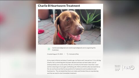A local family looking for help to cover unexpected vet bills