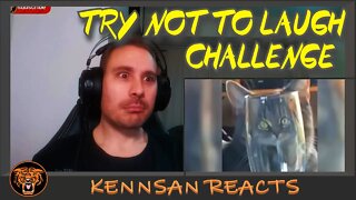 KENNSAN REACTS TO... FUNNIEST DOGS AND CATS! - TRY NOT TO LAUGH