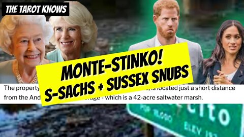 🔴 MONTE-STINKO - HARRY AND MEGHAN SNUBS & VIEWER QUESTIONS! Harry's hair WTH? 😳 #thetarotknowsbylily