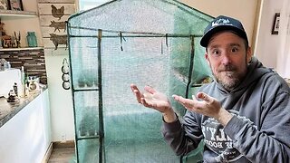 I Built a GREENHOUSE in My HOME!