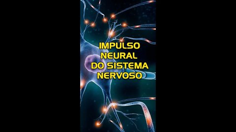 Como funciona o Impulso neural eletrico do sistema nervoso