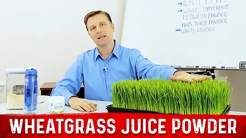 What is Wheatgrass Juice Powder? Benefits Explained By Dr. Berg