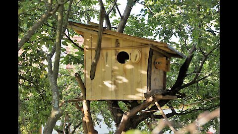 OUR LUXURY TREEHOUSE TOUR | LIVING IN A TREE 🌳🏠