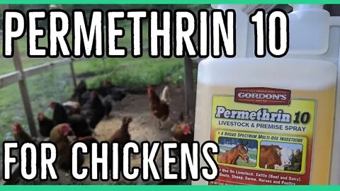 Permethrin 10 for Chickens ||Extermination of pestsll