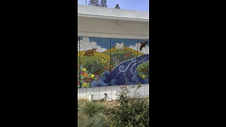 Wildlife Mural