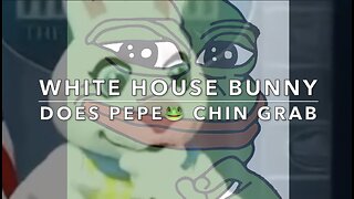 White House Bunny Does The Pepe Chin Grab 🐸 KEK