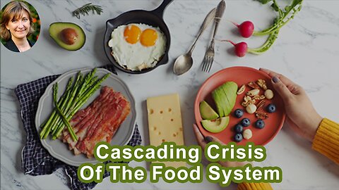 The Cascading Crisis Of The Food System