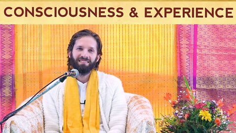 The Difference Between Experience and Consciousness and Why it Matters? (India Rishikesh Retreat)