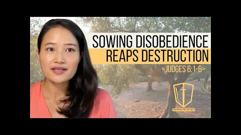 Sowing Disobedience Reaps Destruction (Judges 6:1-6) | Book of Judges Bible Study