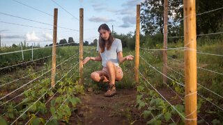 It's not a Good Year for our Garden