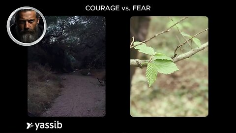 COURAGE vs. FEAR: Light at End of Tunnel