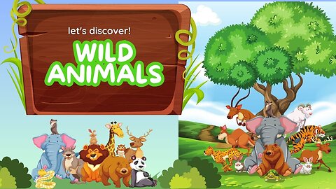 Learning Wild Animals | Educational Cartoon for Kid | Kids English Vocabulary | Bright Spark Station