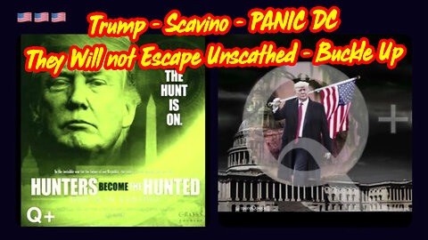 Trump - Scavino - PANIC DC > They Will not Escape Unscathed - Buckle Up