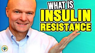 What Is Insulin Resistance? (Diet Is Very Important!)