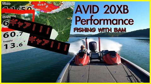 How well does the Avid 20XB Perform???