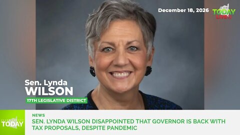 Sen. Lynda Wilson disappointed that governor is back with tax proposals, despite pandemic