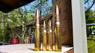 50 BMG or 338 Lapua? - Which to buy?