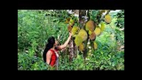 The amazing story of jackfruit