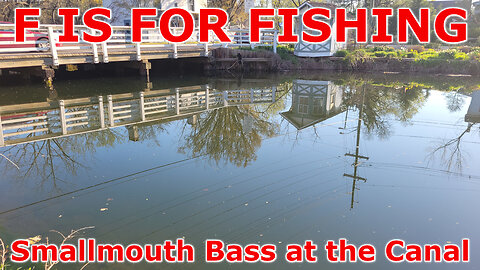 Smallmouth Bass at the Canal