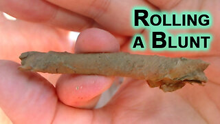 Rolling a Blunt With Home Grown Organic Tobacco & Cannabis From Our 2023 Harvest [How to ASMR]