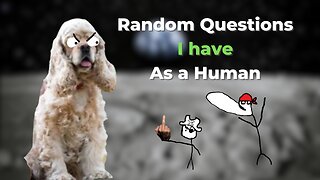 Questions I have as a Human