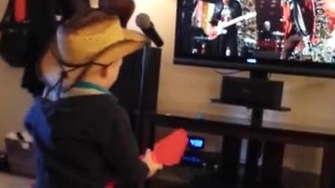 Toddler rocks out to concert on TV