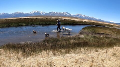 Owens River Camping - Beautiful Living Farmhouse #farmlifebestlife #beautifullivingfarmhouse