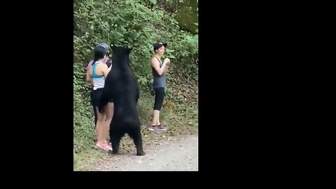 Bear selfie with beautiful girls