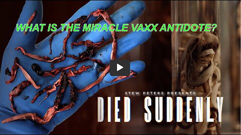 DIED SUDDENLY, THE MOVIE THAT CHANGES THE GAME. THEY KNEW, THEY LIED & LOVED ONES DIED. VAX ANTIDOTE