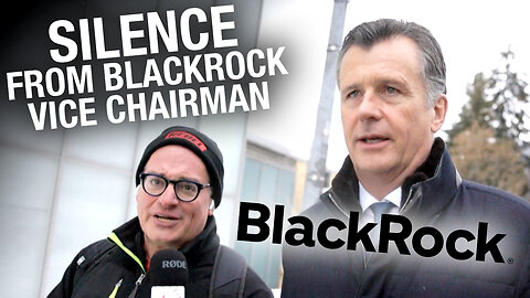 BlackRock vice chairman REFUSES to answer any questions