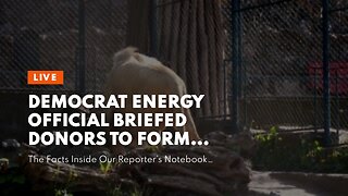 Democrat energy official briefed donors to former employers about energy policy, report