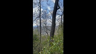 9.6 acres Pack Hill Blowing Rock