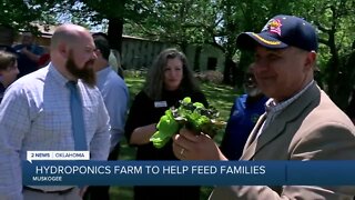 Hydroponics farm helping to feed Muskogee families