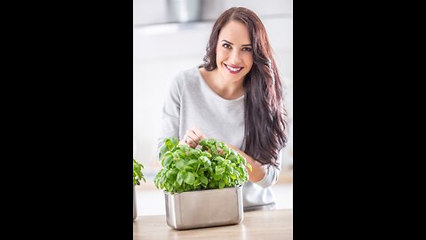 How to Transplant Basil