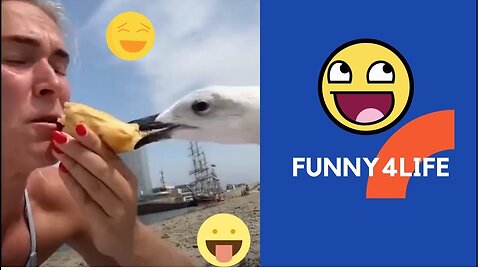 Totally Random Funny Videos Try Not To Laugh FAIL HUMAN IN LIFE