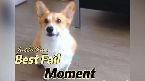 Best Fail Moment #4