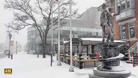 Heavy Snow Storm Hits Toronto Canada 🇨🇦 Winter Snow❄️4K Walk