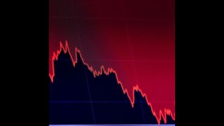 Live day trading in bear market