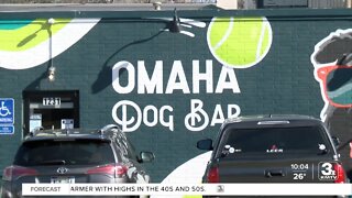 Omaha Dog Bar welcomed pups & owners for drinks and treats