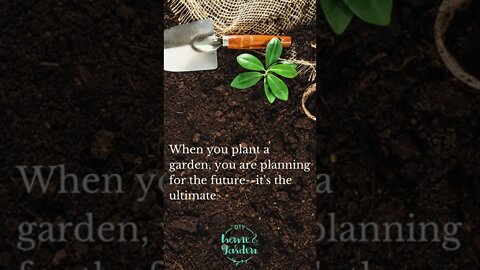Planting a garden is an act of faith.