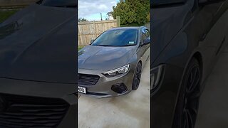 2019 commodore