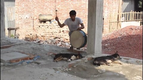 the dog is very angry, the prank hits the drum when the dog sleeps and jumps to attack