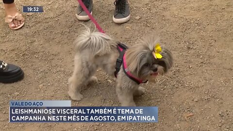 Vale do Aço: Leishmaniose Visceral também é tema de campanha neste mês de Agosto, em Ipatinga.