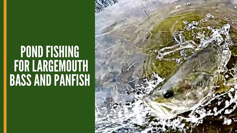 Pond Fishing For Largemouth Bass And Panfish Lansing Michigan / Kid Friendly Fishing Spot