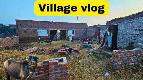 Village vlog🥰|| village life |#vlogs