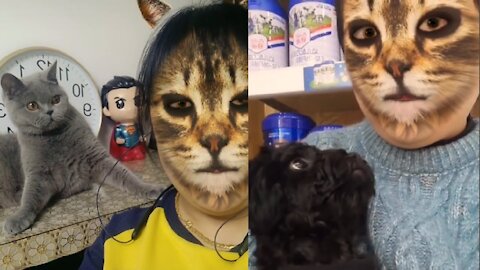 🤣Funny Dogs & Cats Scared Of Cat Mask Filter - Dog & Cat Reaction To Mask Filter