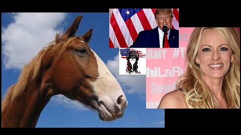 TRUMP on HORSE FACE Stormy Daniels 2024 ELECTION INTERFERENCE plot to make him go away